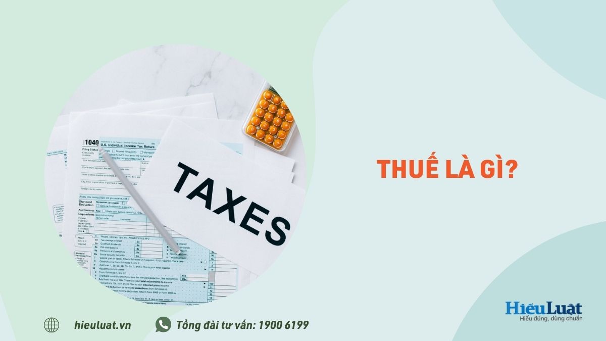 Thuế là gì? Các loại thuế ở Việt Nam